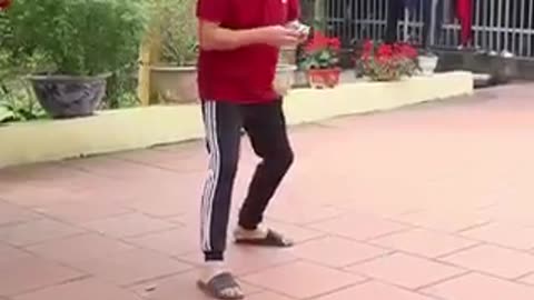 TRY TO LAUGH 😆 Best Funny Videos Compilation #funnyanimals #funnyvideo #trending #shorts