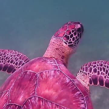 This really broke my heart 😢