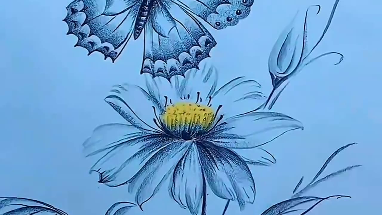 Butterfly Drawing