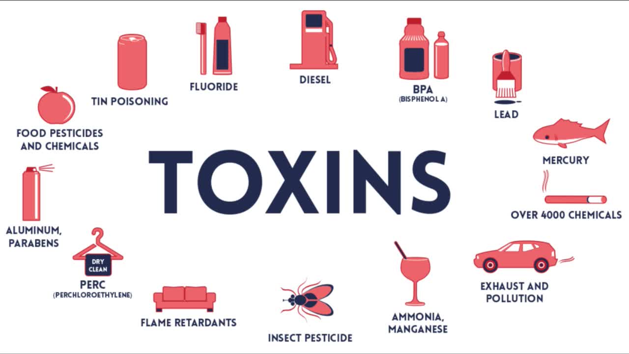 TOXINS MAKE YOU FAT & SICK!