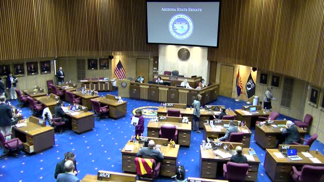 VD 3-3 ARIZONA STATE SENATE 03/22nd/2022