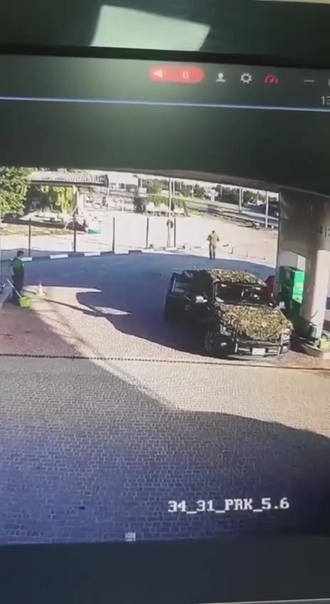 ukie troops shooting a dog and her puppies