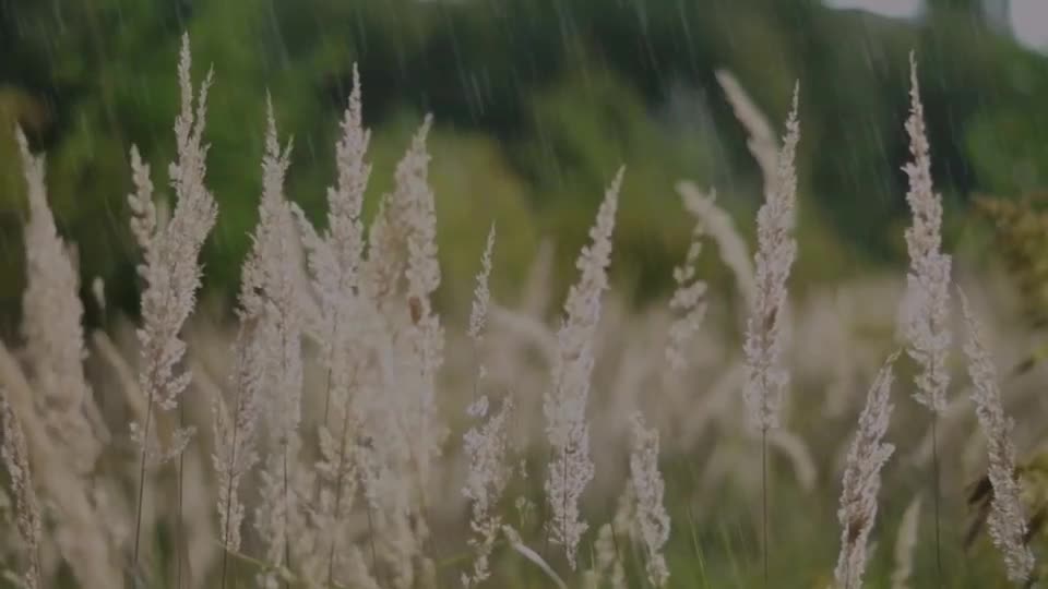sound of rain to sleep and relax music to relax