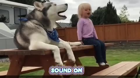 Turn Sound Up🤣 They Are Back!