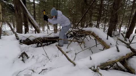 Winter Bushcraft: Camping with my Husky (-20⁰C)-8