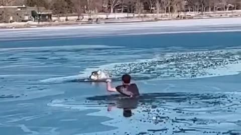 What a good guy!! 💞👊🏼💞 Saves the dog from drowning in freezing water.