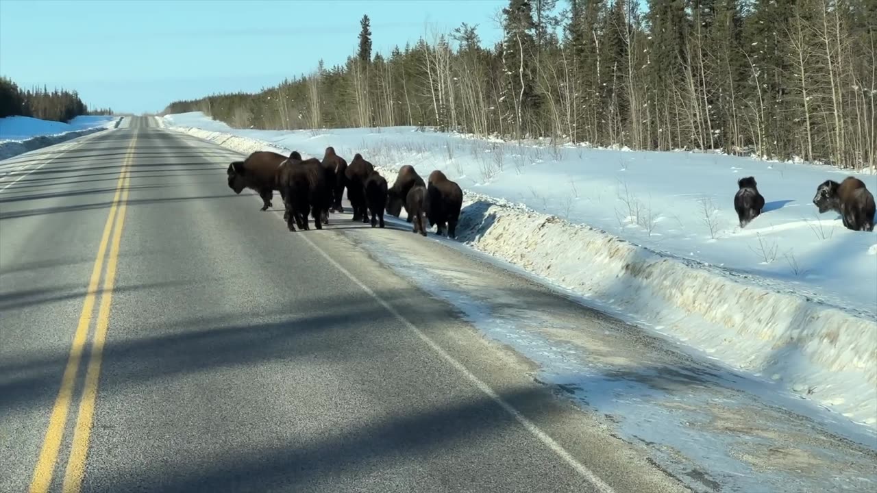 CANADA_ICE_ROAD_TRUCKERS_HARD_LIFE_WINTER_