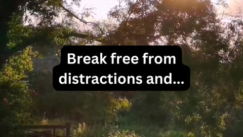 Break free from distractions