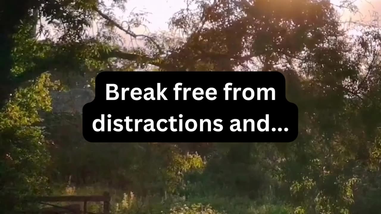 Break free from distractions