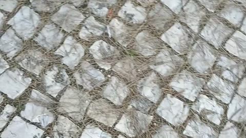 The Rocks of my Hometown Streets