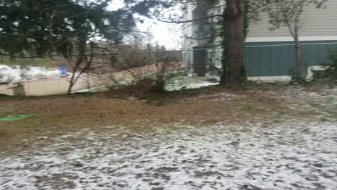 Winter snow day