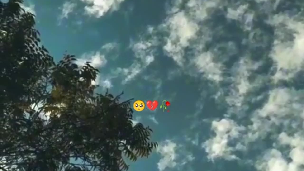 Share status video chat