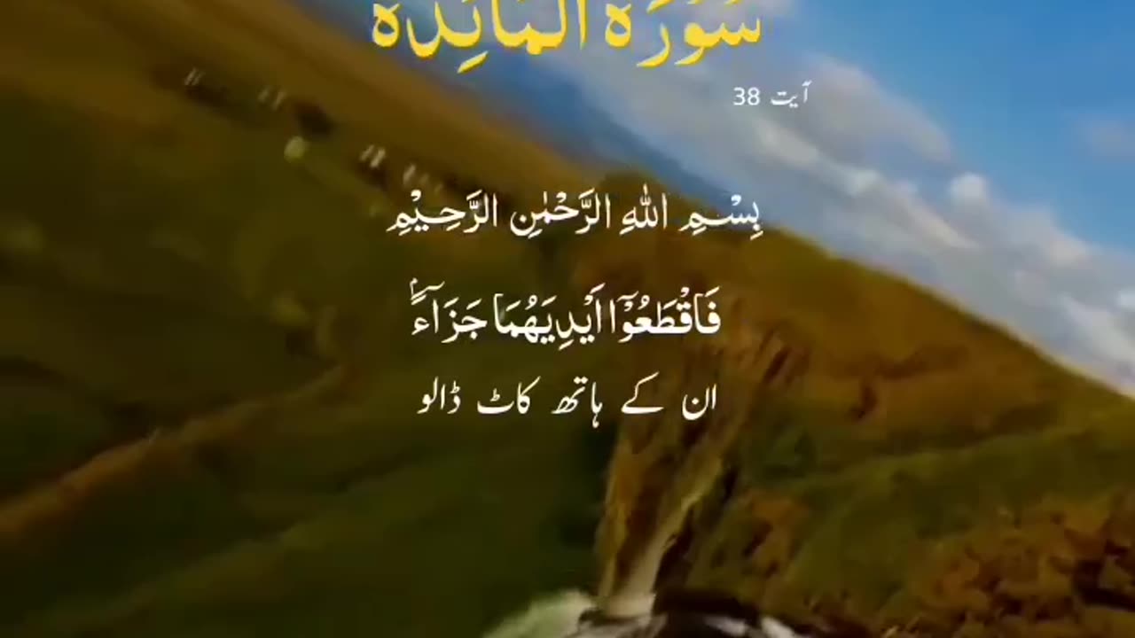 Ayah from Surah AlMaida