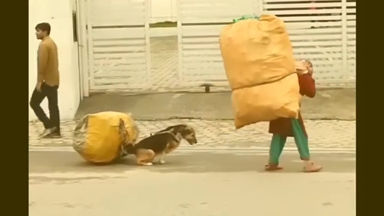 Best video