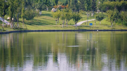 Small pond in the park