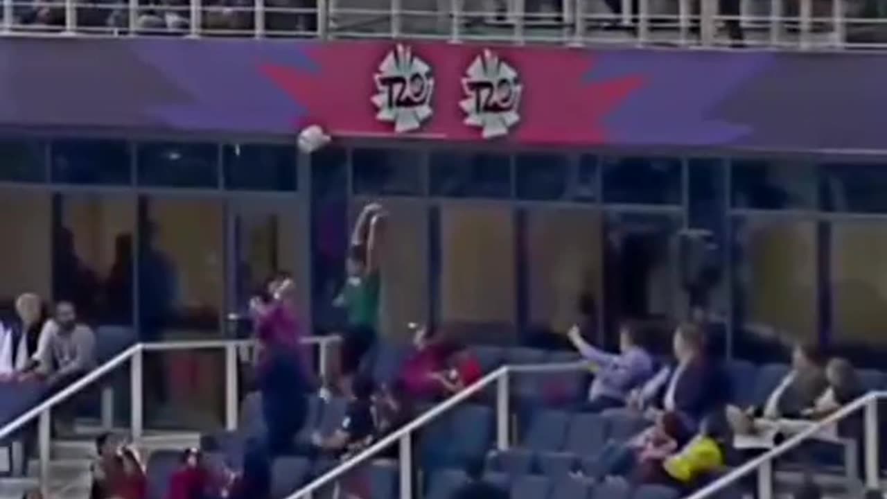 Cricket Video