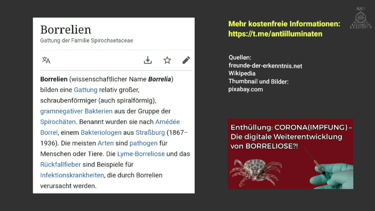 Ist die Die C-Impfung die Weiterentwicklung von Borreliose