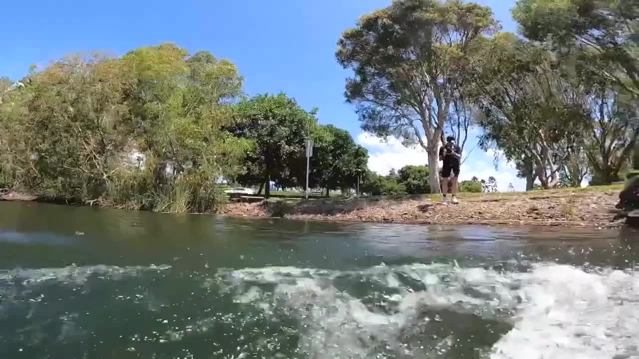 Swimming in Shark Infested Water!