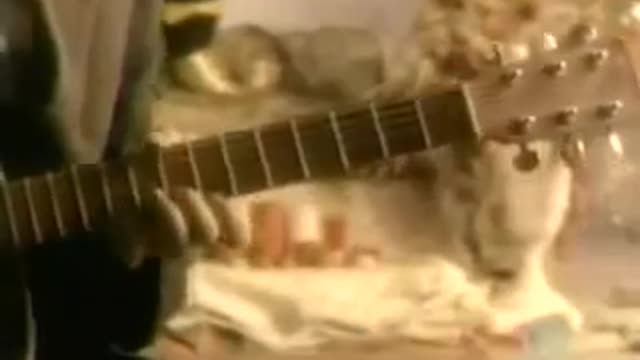 Robyn Hitchcock - Madonna of the Wasps