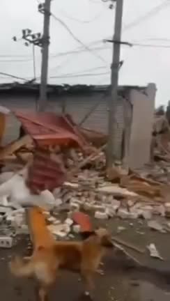 01.03.2022. Spring! War, Russia - Ukraine!!!