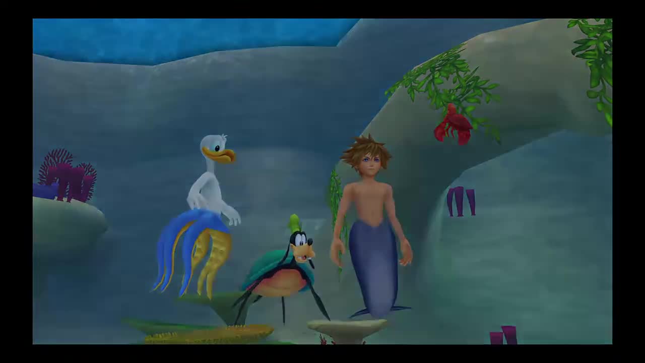 Funded Run of torment of Kingdom Hearts II pt 9