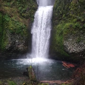 Natural Video Clips # - 42