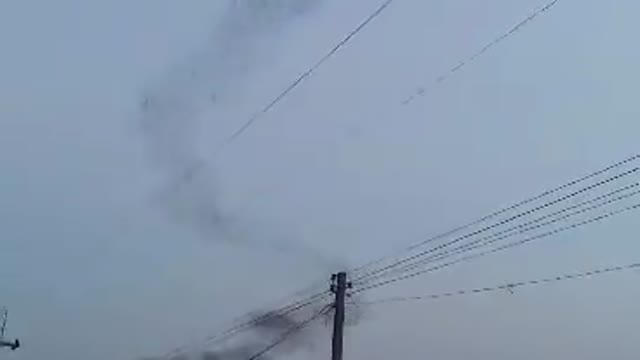 A Horde of Bats Flying