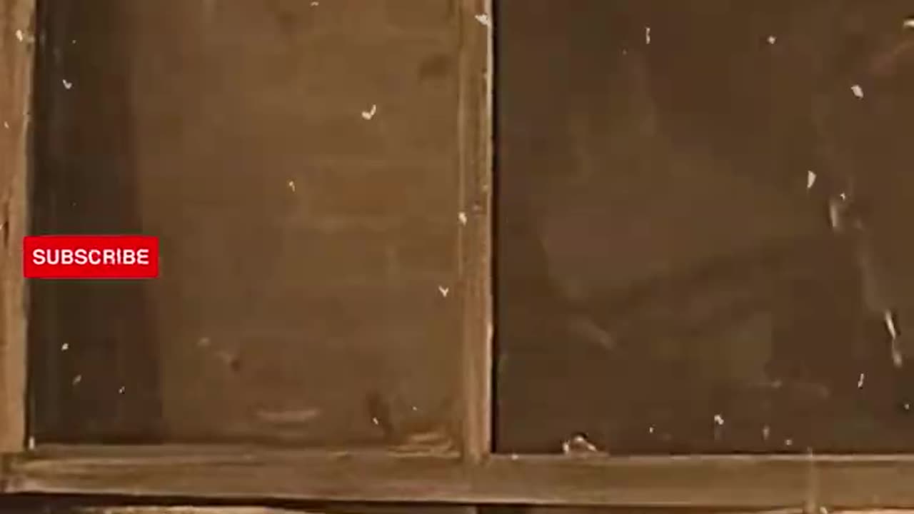King of comedy