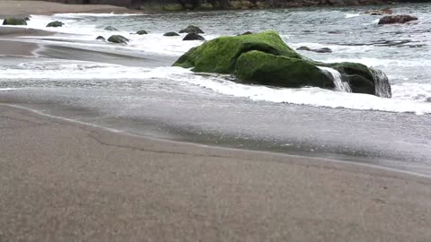 The sound of sea waves and seagulls to relax and remove negative energy