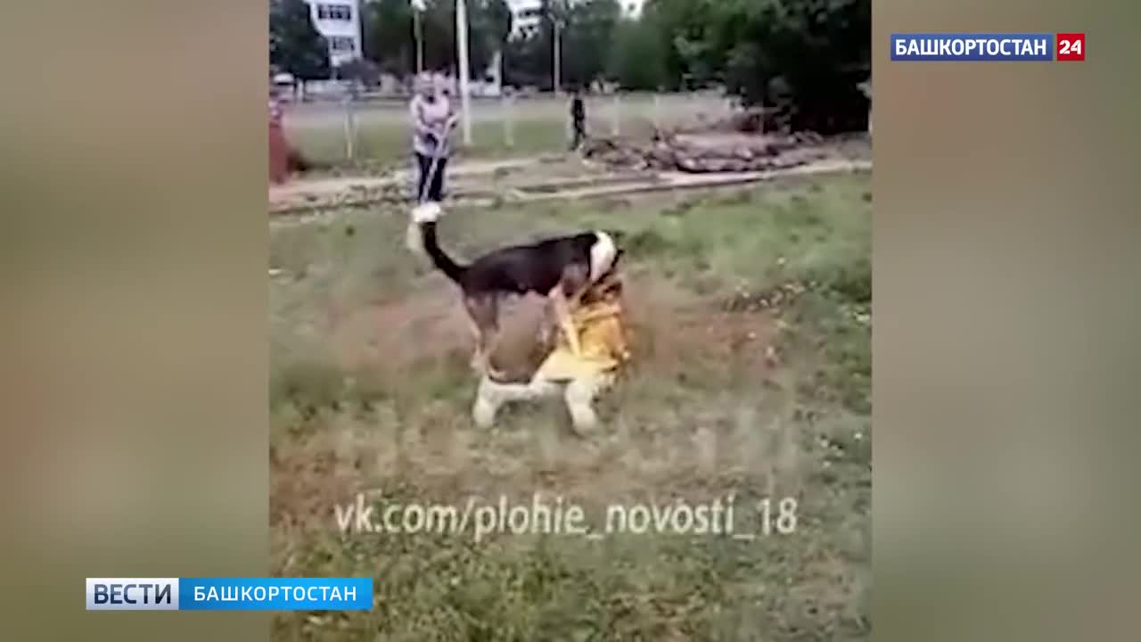 ПРИКОЛЫ В БАШКИРИИ