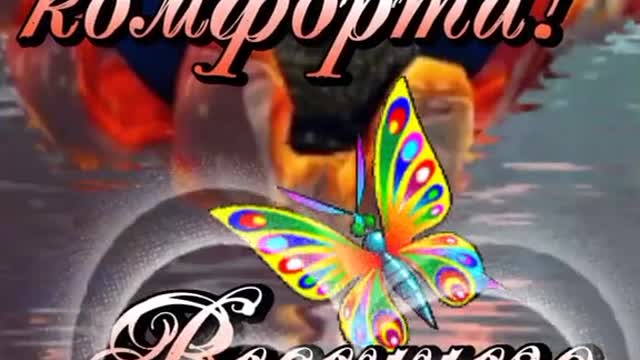 Доброго субботнего вечера вам. 🥰💫🥰#elena_novikova elena
