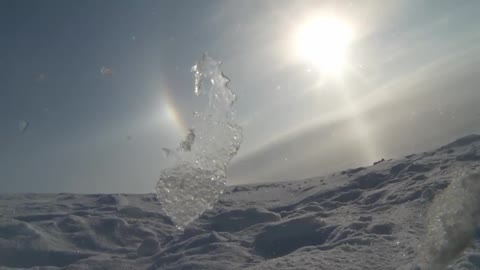Polar Bear Films Cub's First Steps Outside of Den