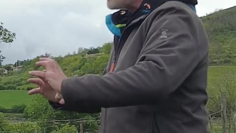 Vegetal Cover, Foliar Nutrition, and Frost - Observing a Vineyard in Auvergne, Konrad Schreiber