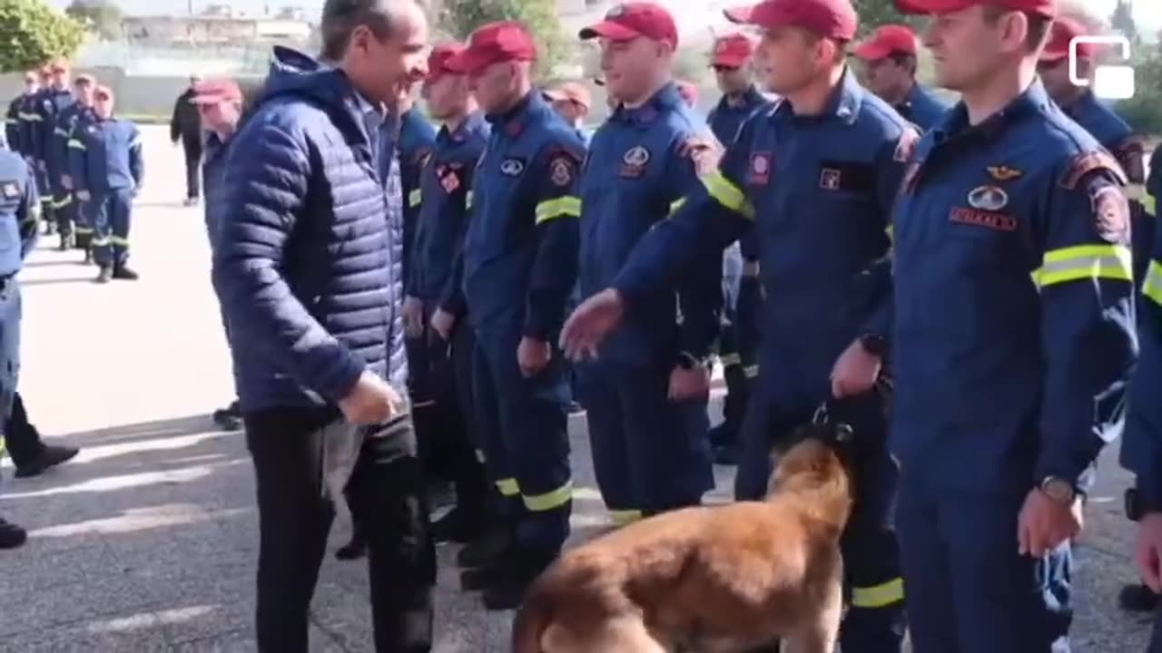 Ο ΜΗΤΣΟΤΑΚΗΣ ΚΑΙ ΤΑ ΣΚΥΛΙΑ