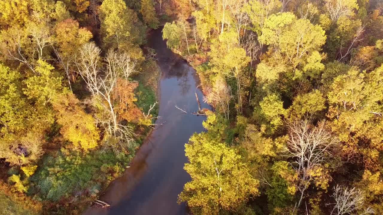 Relaxing Music | Sleeping, Meditation, Stress Relief | [1004] ⭐️