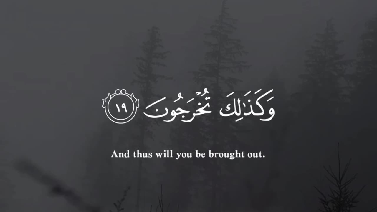 قرآن |سورة الروم |الآيات 17-19 Quran |surah Ar-room |Quranic verse 17-19