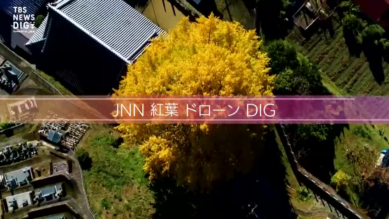 落差日本一 称名滝を彩る紅葉【JNN 紅葉ドローンDIG】｜TBS NEWS DIG