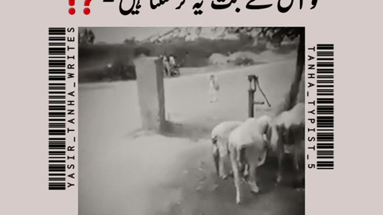 Today is the importent video for all rumble audience