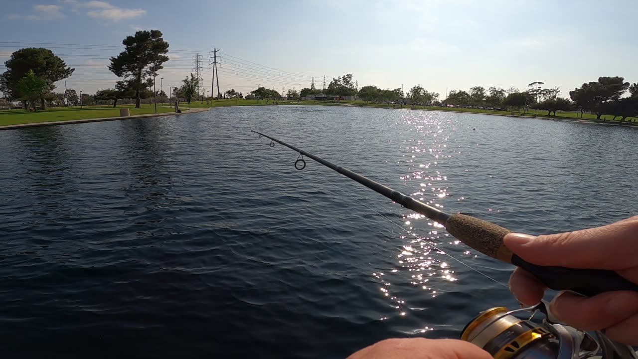 fish on fish off