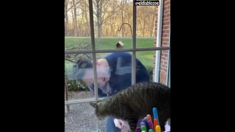 Check out this heartwarming moment between a human and a cat