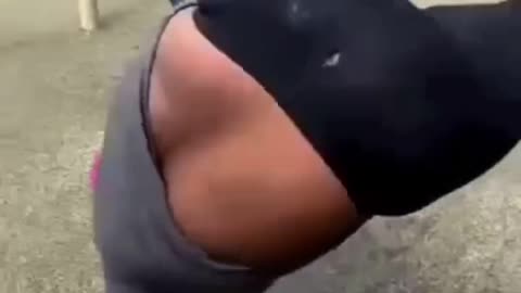 hilarious pranks