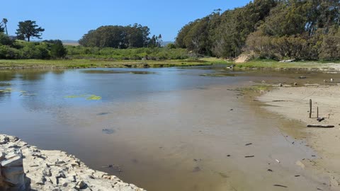 Natural Bridges Wetlands