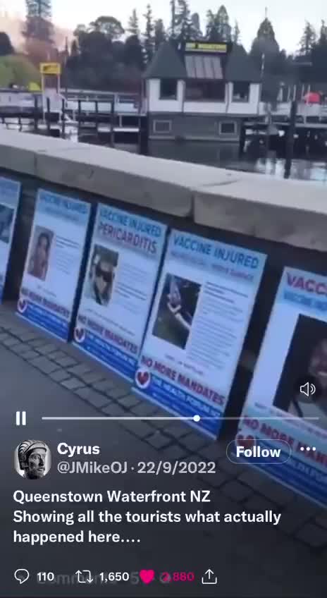 Queenstown Waterfront NZ Exposes "Vaccine" Injuries & Deaths To Tourists
