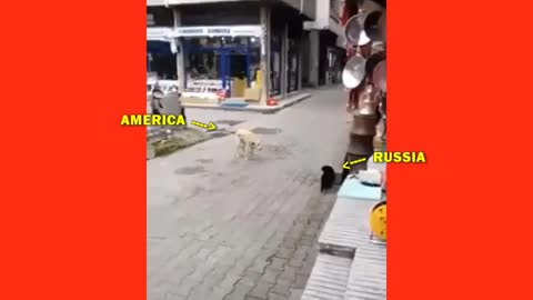 435. America Barks at Russia a Lot, but ...