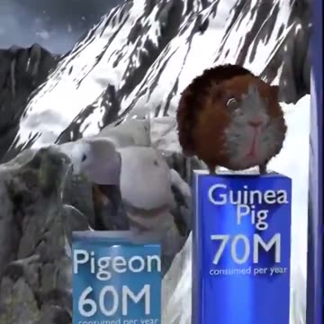 A List Of Animals Consumed By Humans Each Year; It Will Surprise And Sadden You