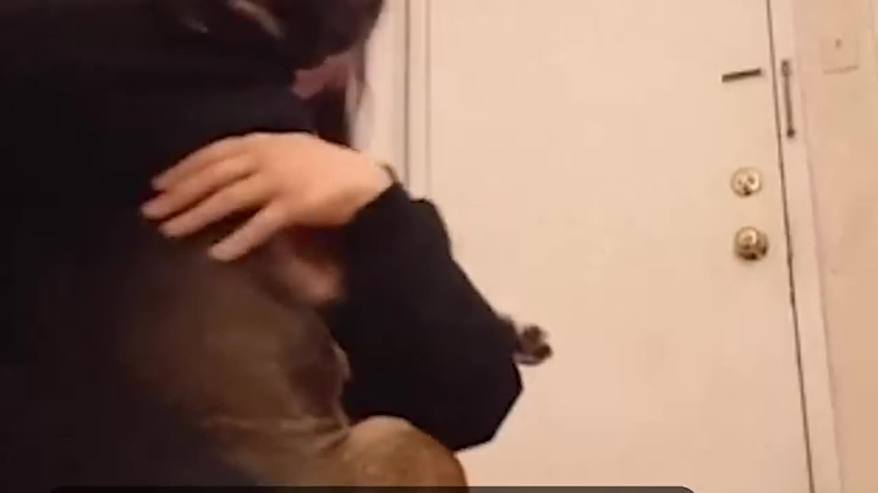 Dog has the sweetest reaction to being adopted ❤💕 #weloveanimals
