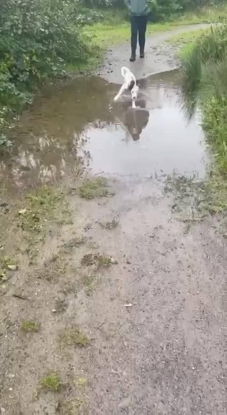 Коротко о погоде в Петербурге…Resumidamente sobre o clima em São Petersburgo...