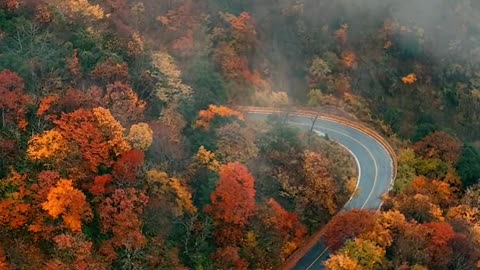 What a beautiful autumn in Shennongjia