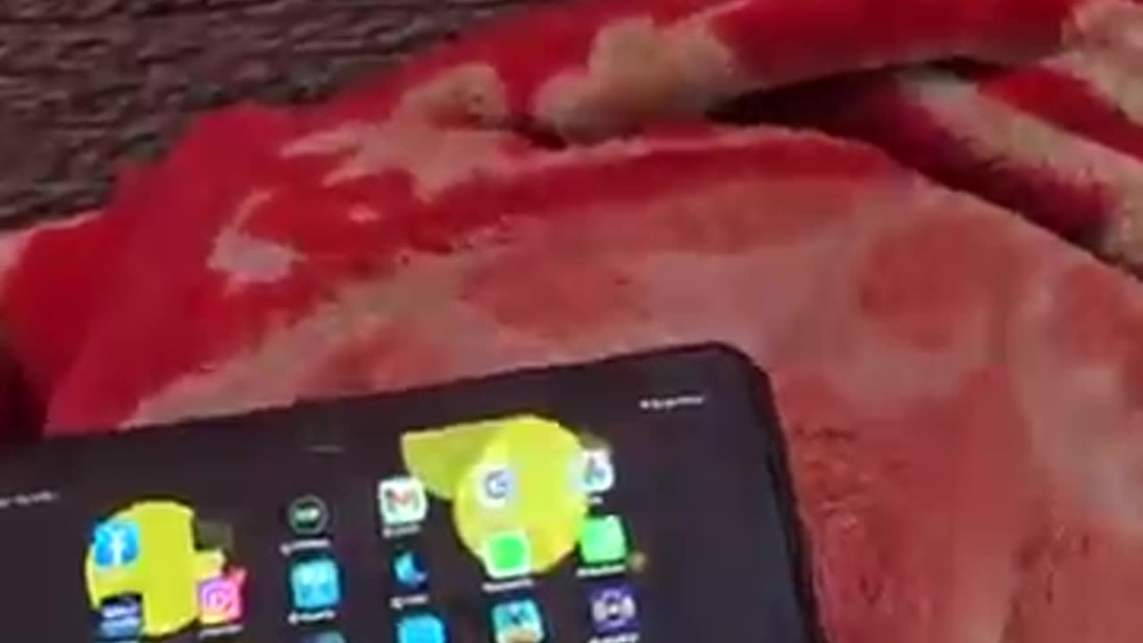 🤣😁🤣😁🤣🤣