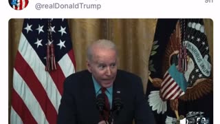 Trump: Biden License to Fall